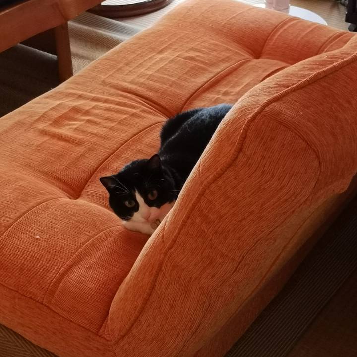 Af491f8a fb25 444f 976e 4adefc2ee72c 1568771913485