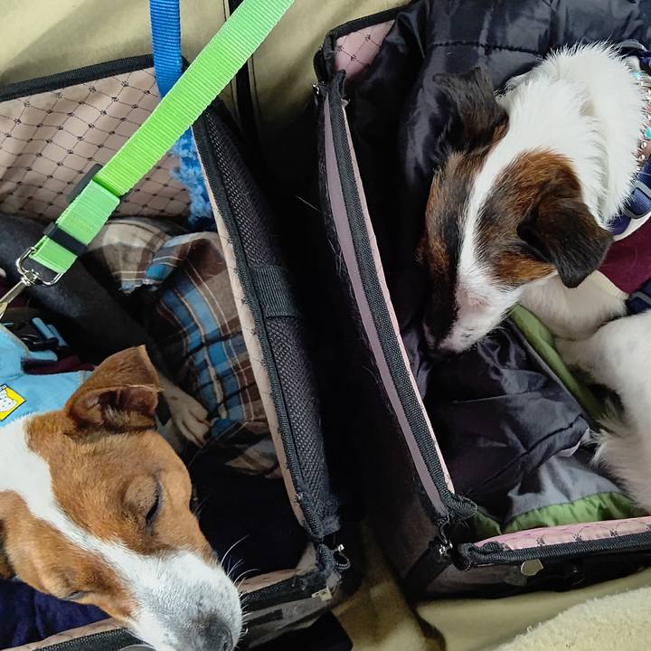 Af493380 0199 4acd b784 82af98241fbf 1648964399073