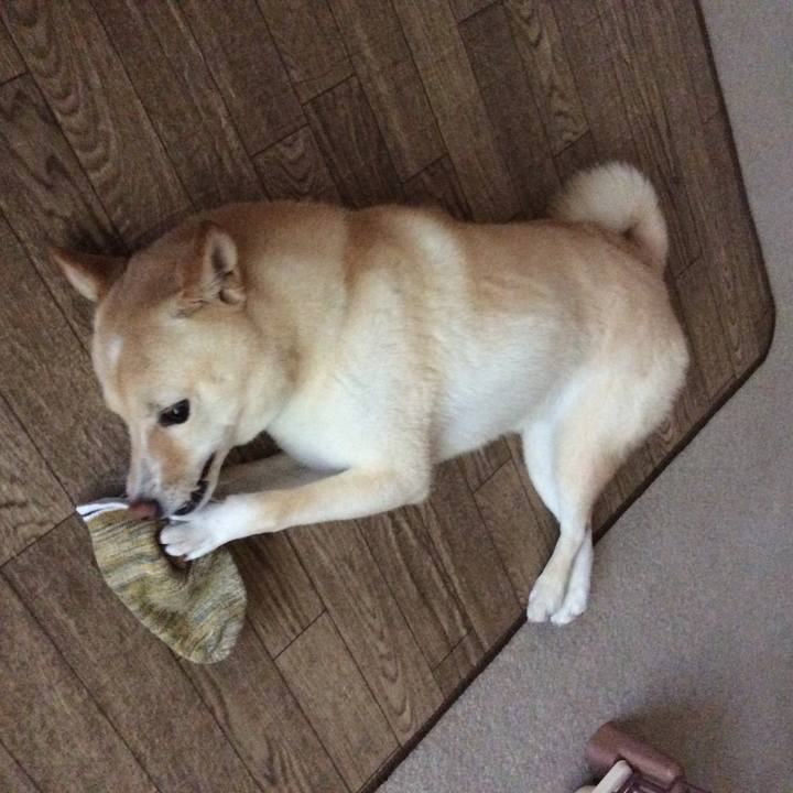 Af494833 4fc1 44c2 94e6 29910714a32e 1564205438673