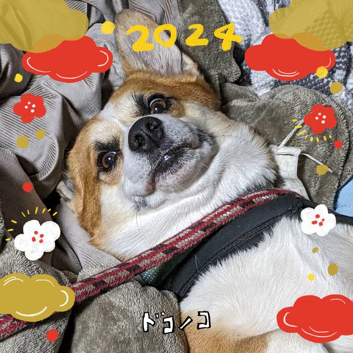 Af498ca1 3e29 469b 8f6f af7056a45265 1704068481135