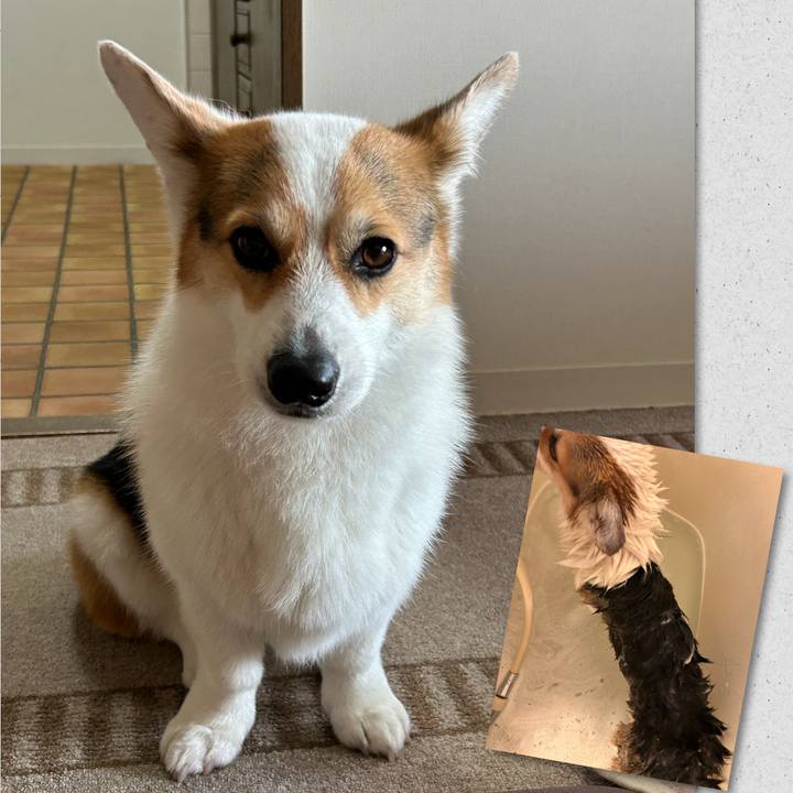 Af49bfec aa9c 46ec a5f8 35804932da0f 1775125725105