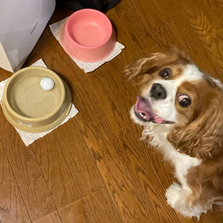 Af49c71c a110 4b96 9120 09de2cecef7a 1729402067327