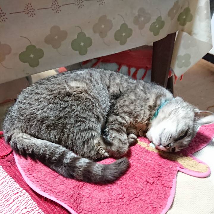 Af49cff1 c91f 4b8e 8bf4 036845dc7744 1564517666326