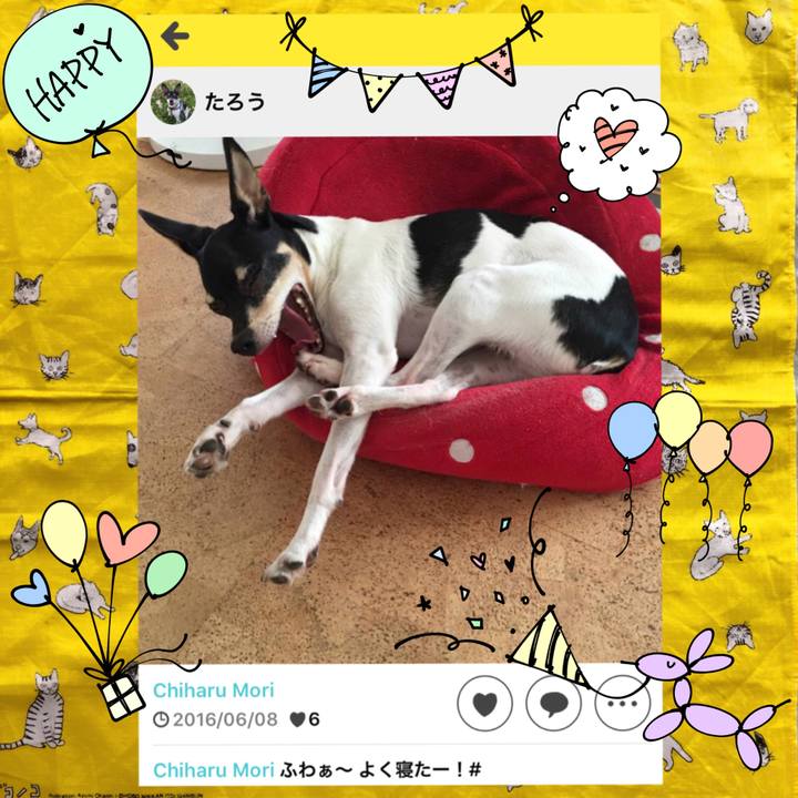 Af4a8982 1ad0 443b 8f7f 8829988e6b4f 1528412534321