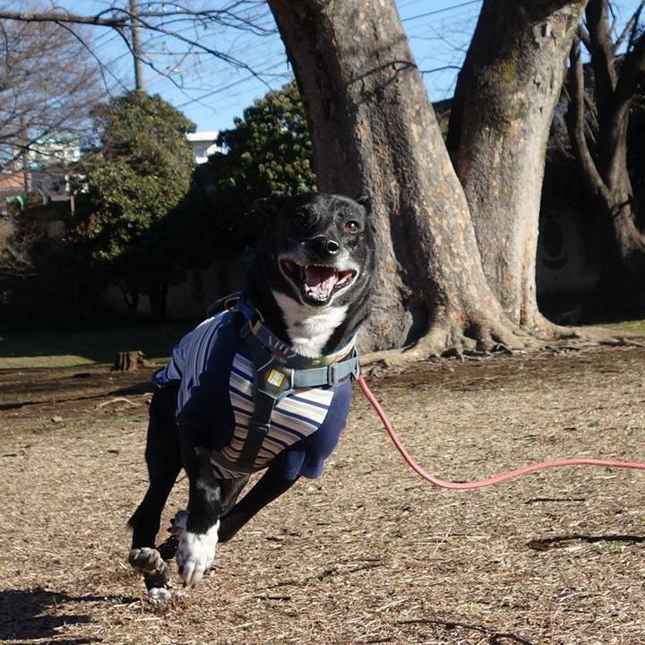 Af4a9332 fde5 402b aead 4dbab4f8f431 1741307771640