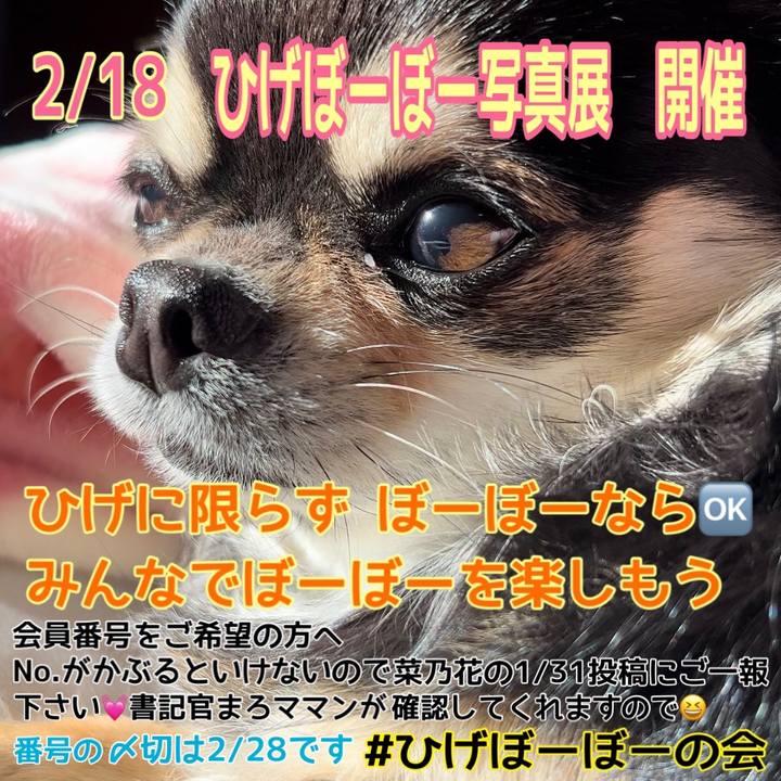 Af4ab270 c37c 42b6 b7d0 4ed11a5eeca2 1675653684624