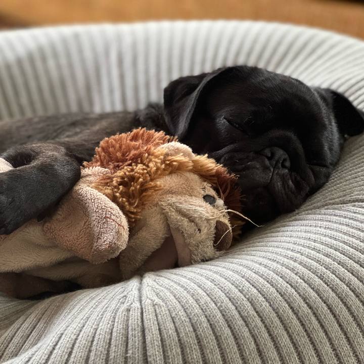 Af4abfcb cf09 46b6 9872 5fe68e8fb187 1648377328582