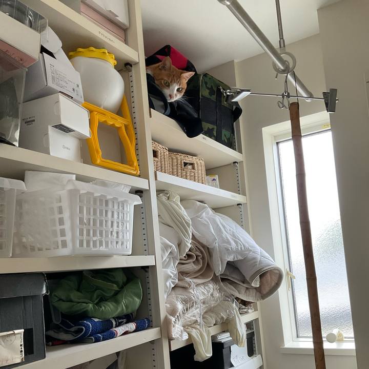 Af4acf6a 419c 4fd1 a3a4 6e8bf3087ff6 1692148461980