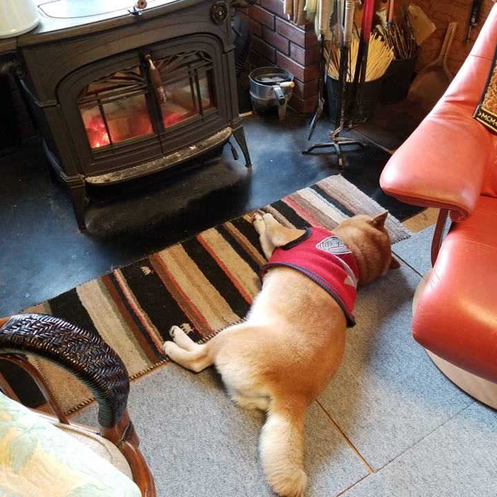 Af4ad43f e66e 466c 8548 ec990f38cf60 1554940752860