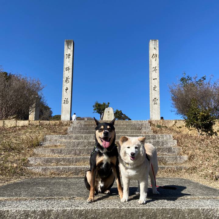 Af4ae68a dcd0 4003 a6a0 60ff4c19e3ab 1678098514986