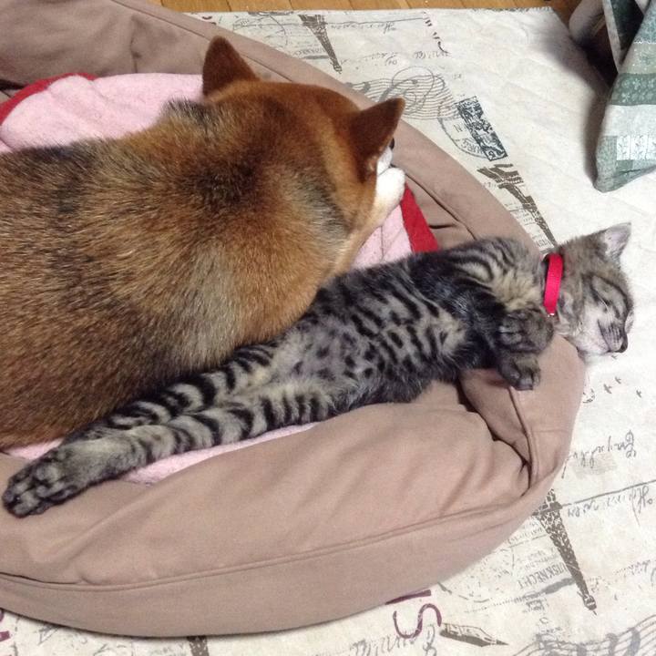 Af4af022 b407 4f16 9985 829e11ae6ee0 1528703986568