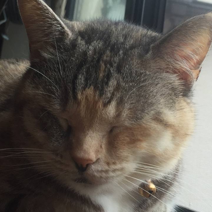 Af4b48f0 b3f2 4576 a167 7fbc90aa07ca 1562595800221