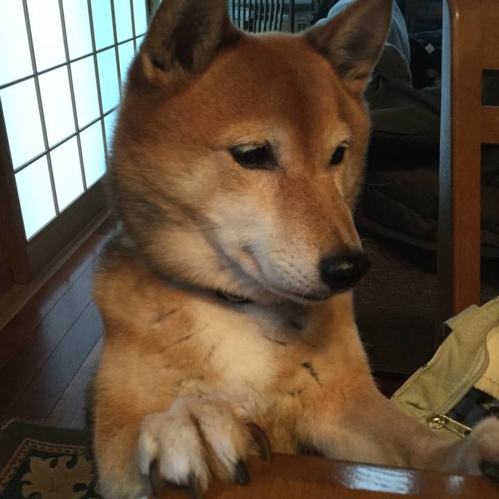 Af4b4bf8 a3a0 4cdf a21e a1d49c125d40 1578469939852