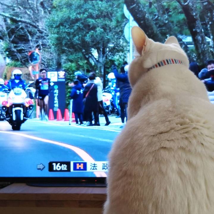 Af4b584c a490 4c77 aa0f c196c96879dd 1609633359708