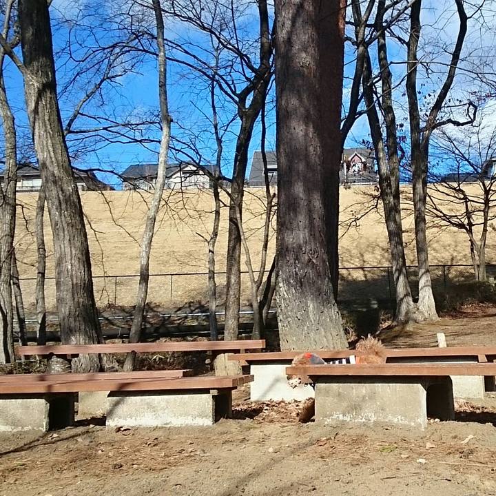 Af4b6bdb 7334 4bd8 b8a9 0ef7689a631e 1518348247201