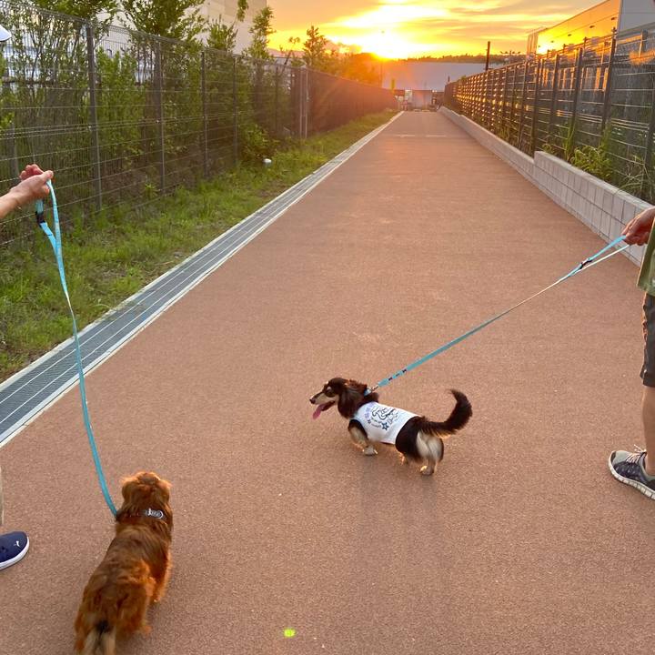 Af4bbab5 0931 49ce 946f 2a1815a4c5a4 1688304654460