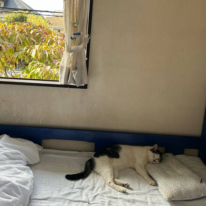 Af4c038a 837a 4c95 a951 6af7254d6466 1758974866897