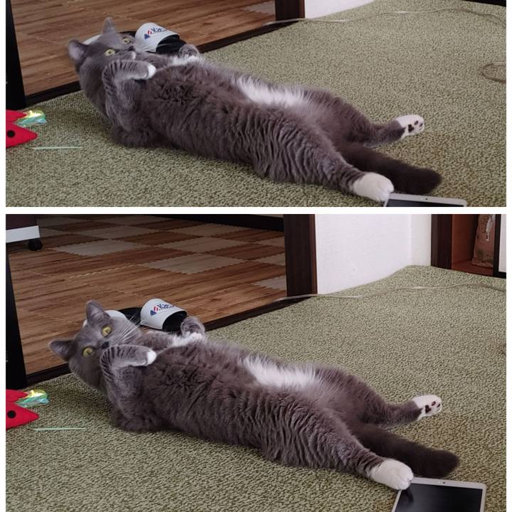 Af4c0ddc c69e 46c4 bd2a 3a6d052706d8 1664443904760