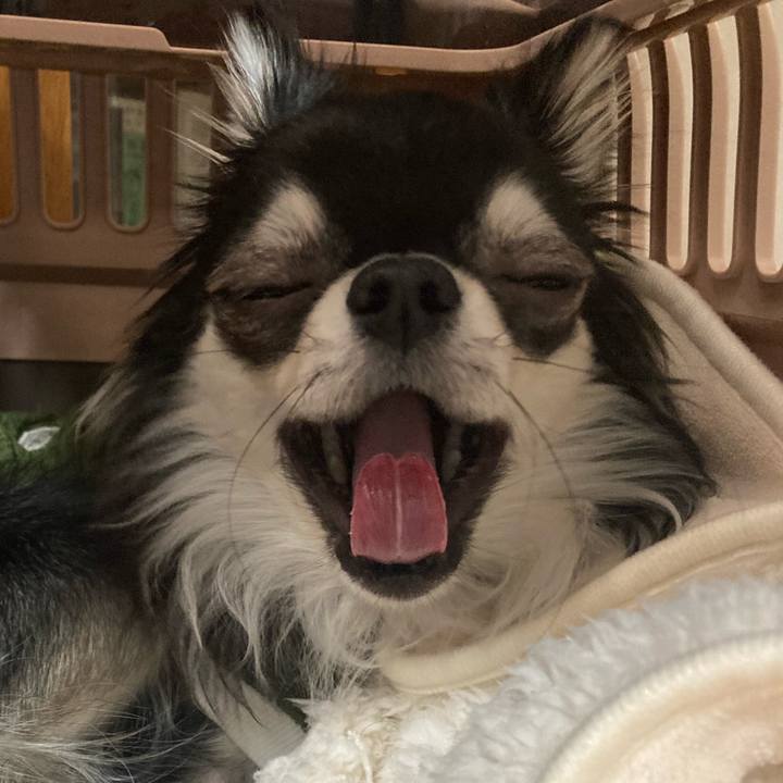 Af4c1976 17ea 48bc b952 33b41b5d1f85 1613311641010