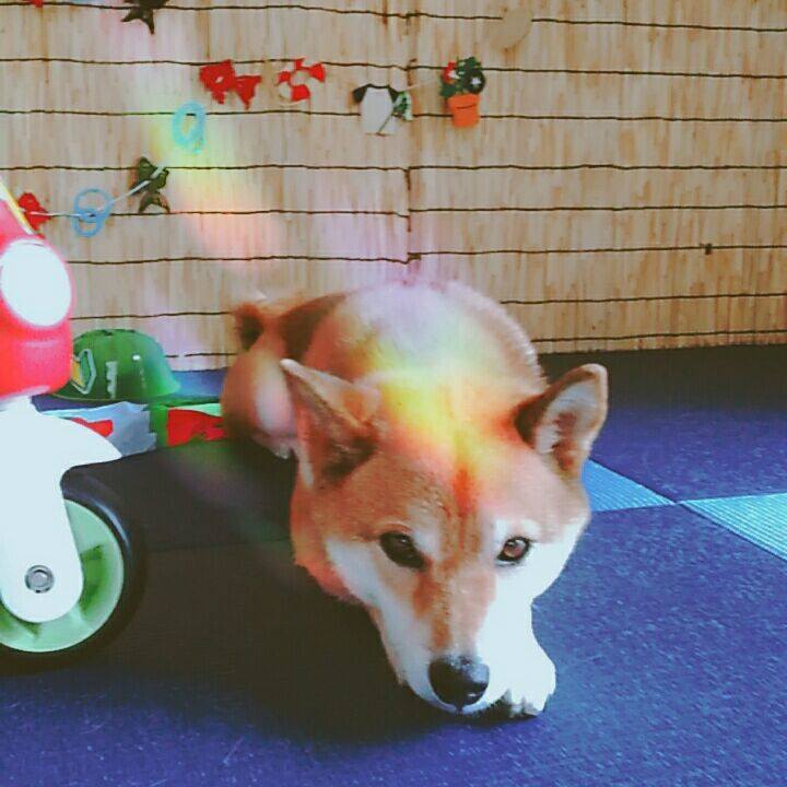 Af4c53ce df52 4d34 b1c6 063462f3969f 1565965361917