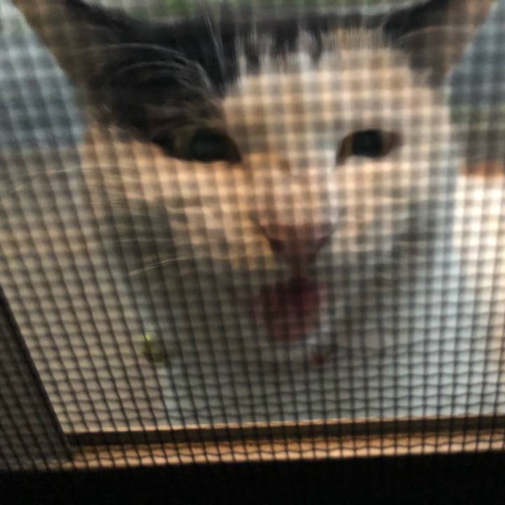 Af4c7ae0 ea3c 4f9e 8274 7c0dbc88da26 1606307594152