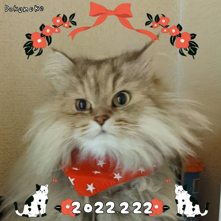 Af4c7e08 3f3c 437e ae95 d46d6ee1aa0d 1645542005084