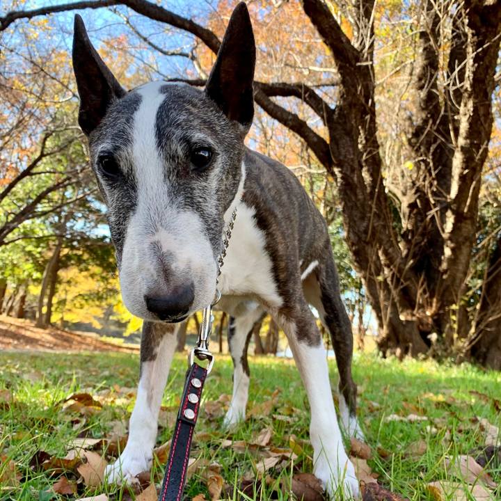 Af4c89aa 0828 4976 b149 e5e20dcd7813 1640013140145