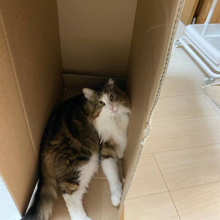 Af4c8ecd 38b7 43e6 8917 2aac58baf537 1669029987861