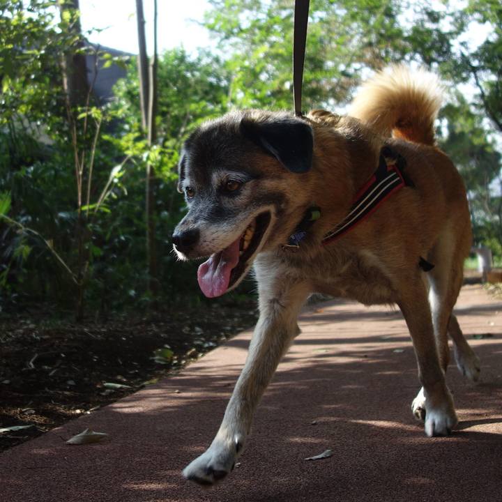 Af4c9053 6463 4fee a5c6 78fa22f50d68 1537233929672