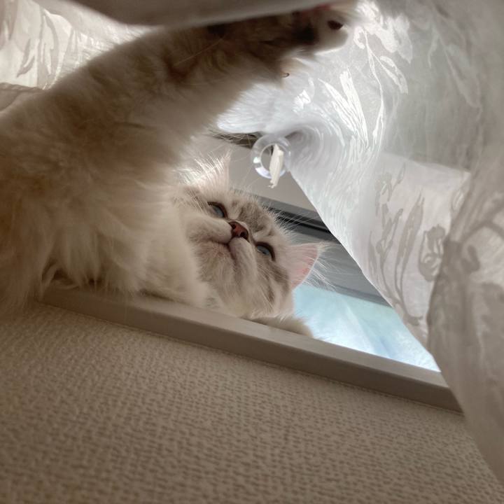 Af4ca30c 6b07 4229 afab 1db04b0b14c9 1677763926186