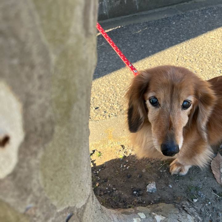 Af4cc62a 4c47 4a4b bb66 129560de6bf3 1678191630914