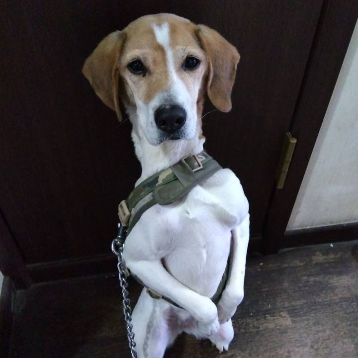 Af4cc936 9cb5 4a48 82ee 42147176c0aa 1677485358735