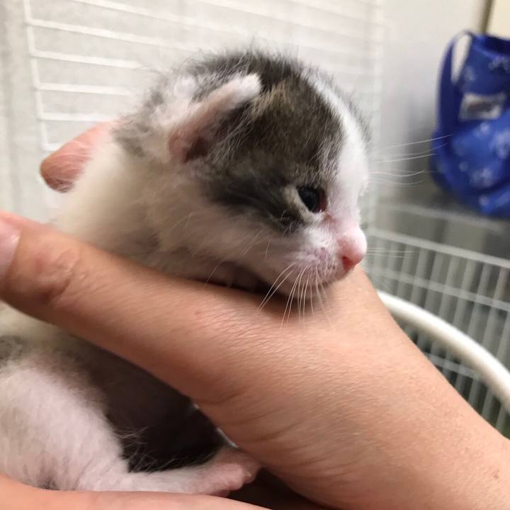 Af4d6e73 71c0 4d24 b2cb 1736e2696fa4 1561515556820