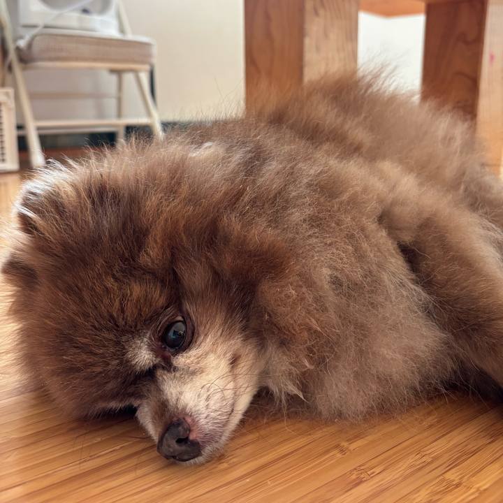 Af4d8776 0be8 4daa b93f a1fb5dd7a203 1764463518079