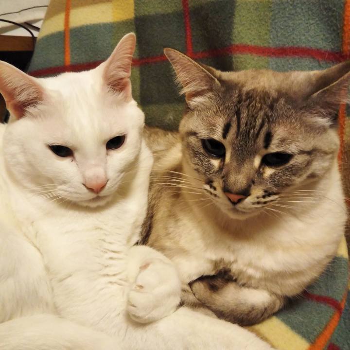 Af4d8960 728e 43e3 9874 35c8e7e19901 1553090020982