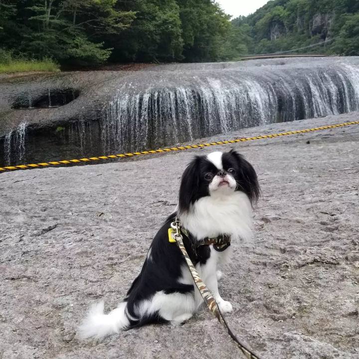 Af4df41c 2959 4d65 993b 3e46913eda24 1663588958568