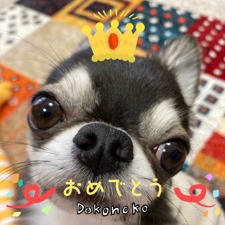 Af4e06ec feee 427f 90af 35c27dd4a0d0 1685936560609