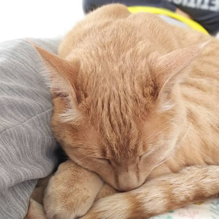 Af4e0952 42b9 4ff3 862c 352b1ee74a96 1621752724873