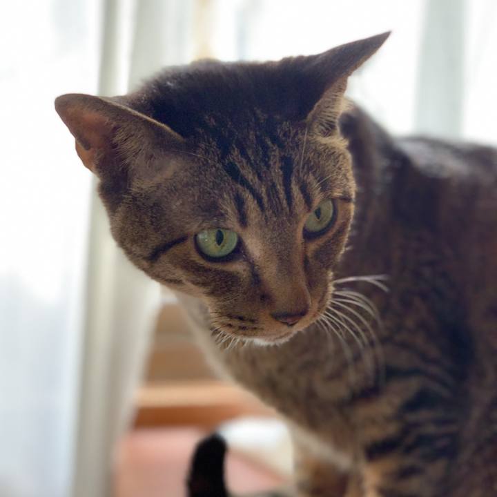 Af4e5fcc b034 48c0 b699 b331043706df 1579827244875