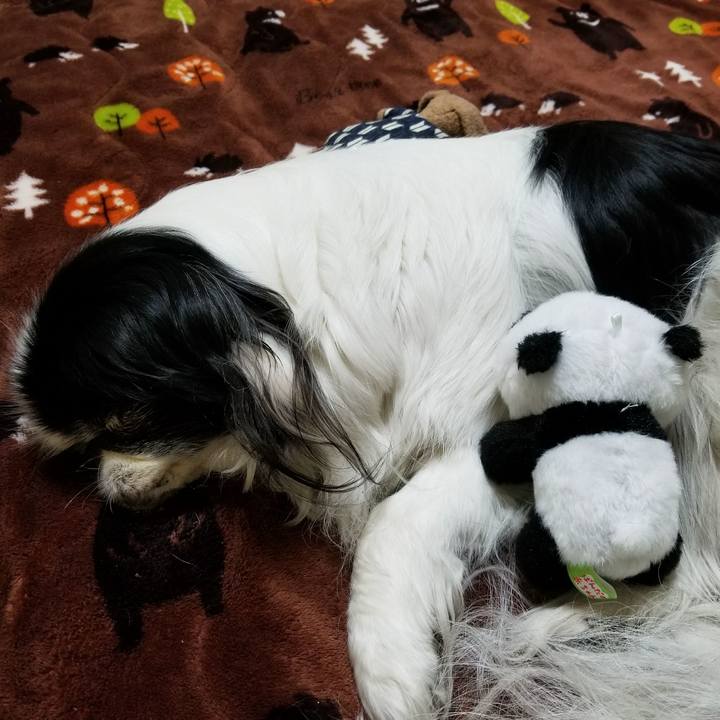 Af4e79f9 7a7f 4468 b528 ddbce3d9ee67 1518263117210