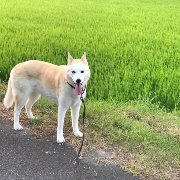 Af4e88ed 26c0 4d3b b10b 3cddf916287f 1724464887086