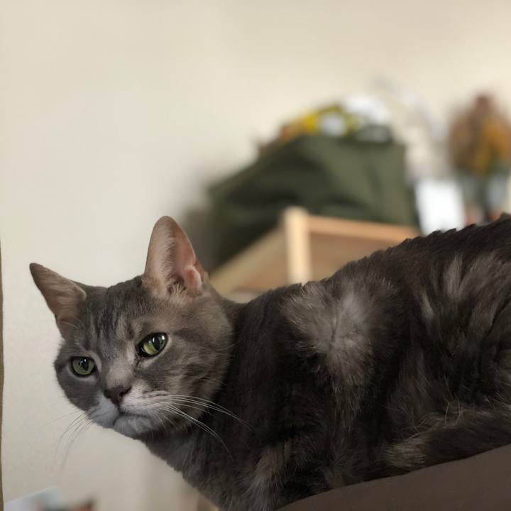 Af4eebcb 5d26 446e bb04 98496b2602ce 1561069856804