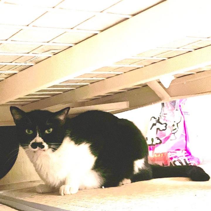 Af4f06ce 2426 4ef9 a03d 20909958b713 1660351178012