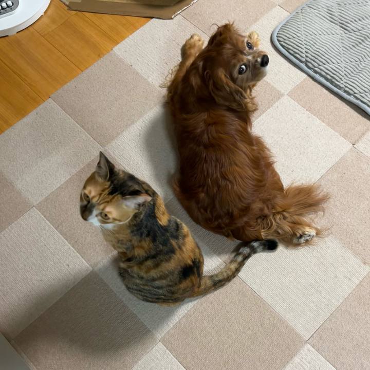 Af4f10b1 a177 4060 9a64 36fe6c3f8a13 1734131465880