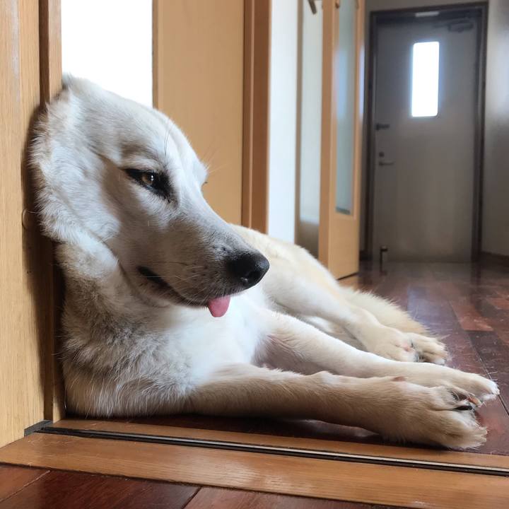 Af4f1b07 9797 4c6e a589 58f62a0ad2e1 1583291197060