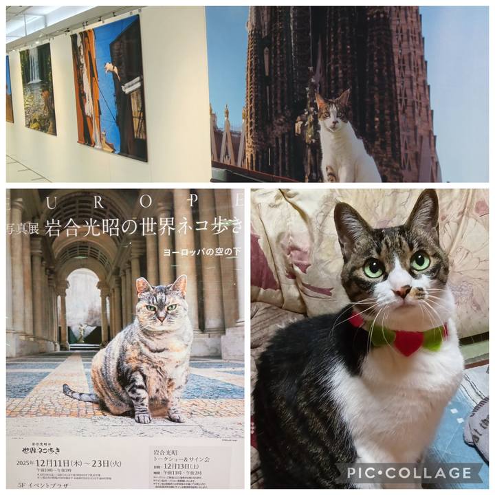 Af4f2d37 60e4 431d a553 7cb1eac15fc3 1766062938196