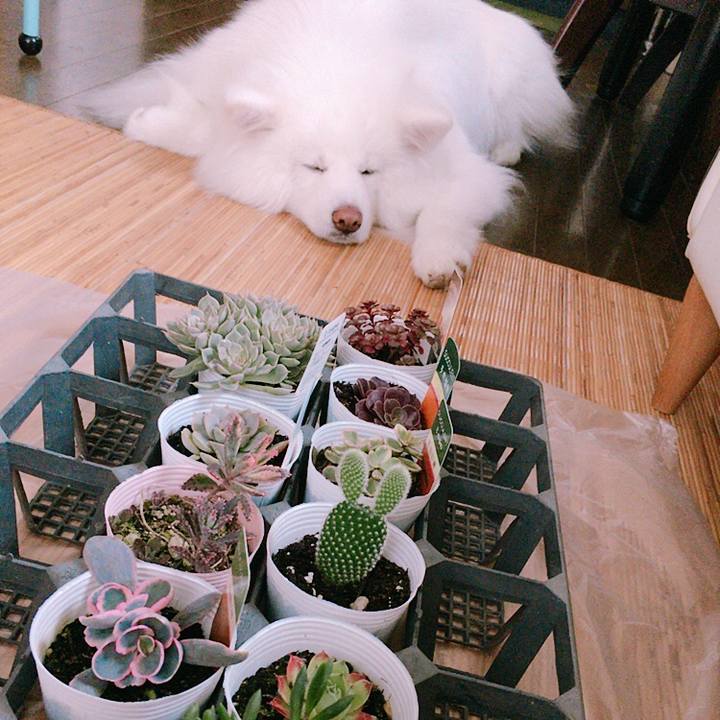 Af4f5492 4a35 4ef0 bee4 7d2b9b331d17 1532934602149