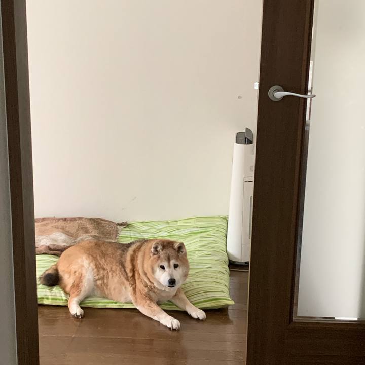 Af4fa811 9aa5 47e7 a60b b76ca2193927 1650768263872