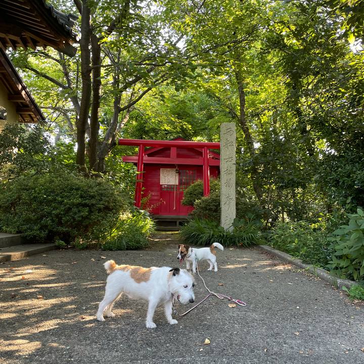 Af4fcbe6 495a 4b99 bbf5 7e95de17bba6 1626649758495