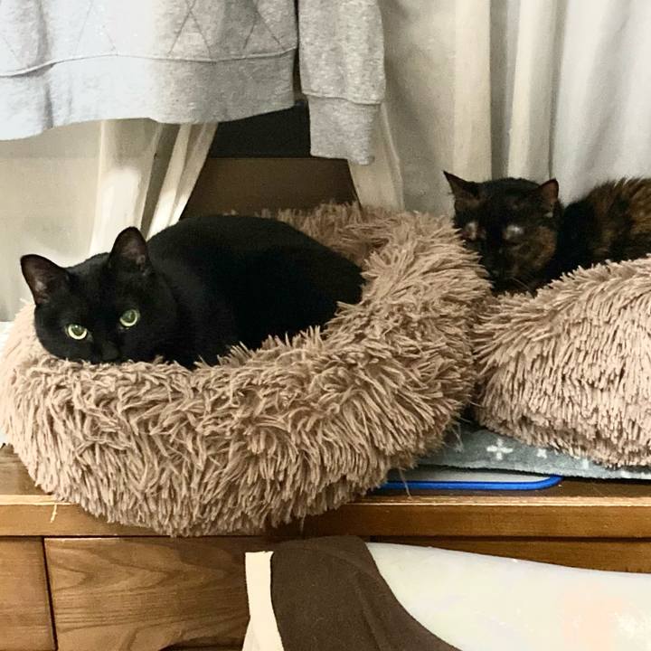 Af4fe1eb b89e 42cc a86f 134de1bee001 1710250113742